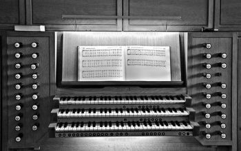 Kerkorgelliteratuur – Deel Acht – Soorten orgels